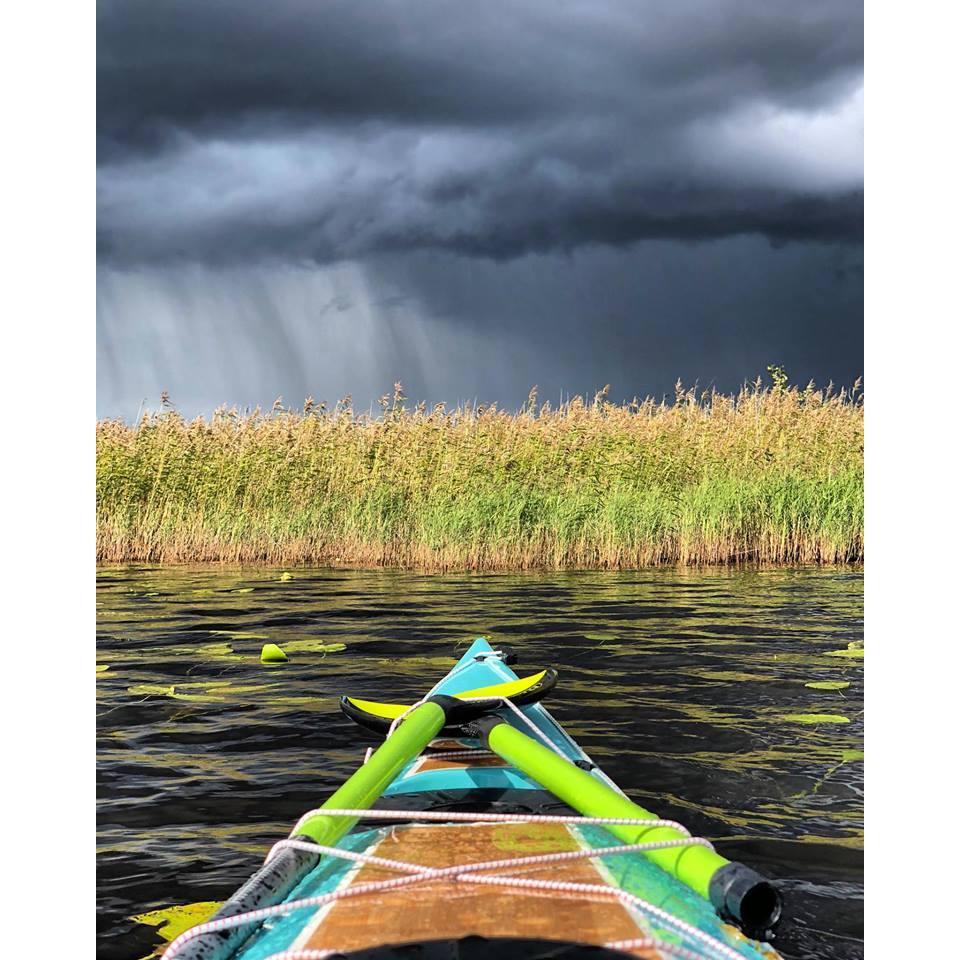 Greentip Hydra Wing Paddle, Carbone