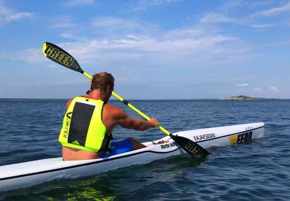 Pagaie Greentip Rey Wing, Carbone