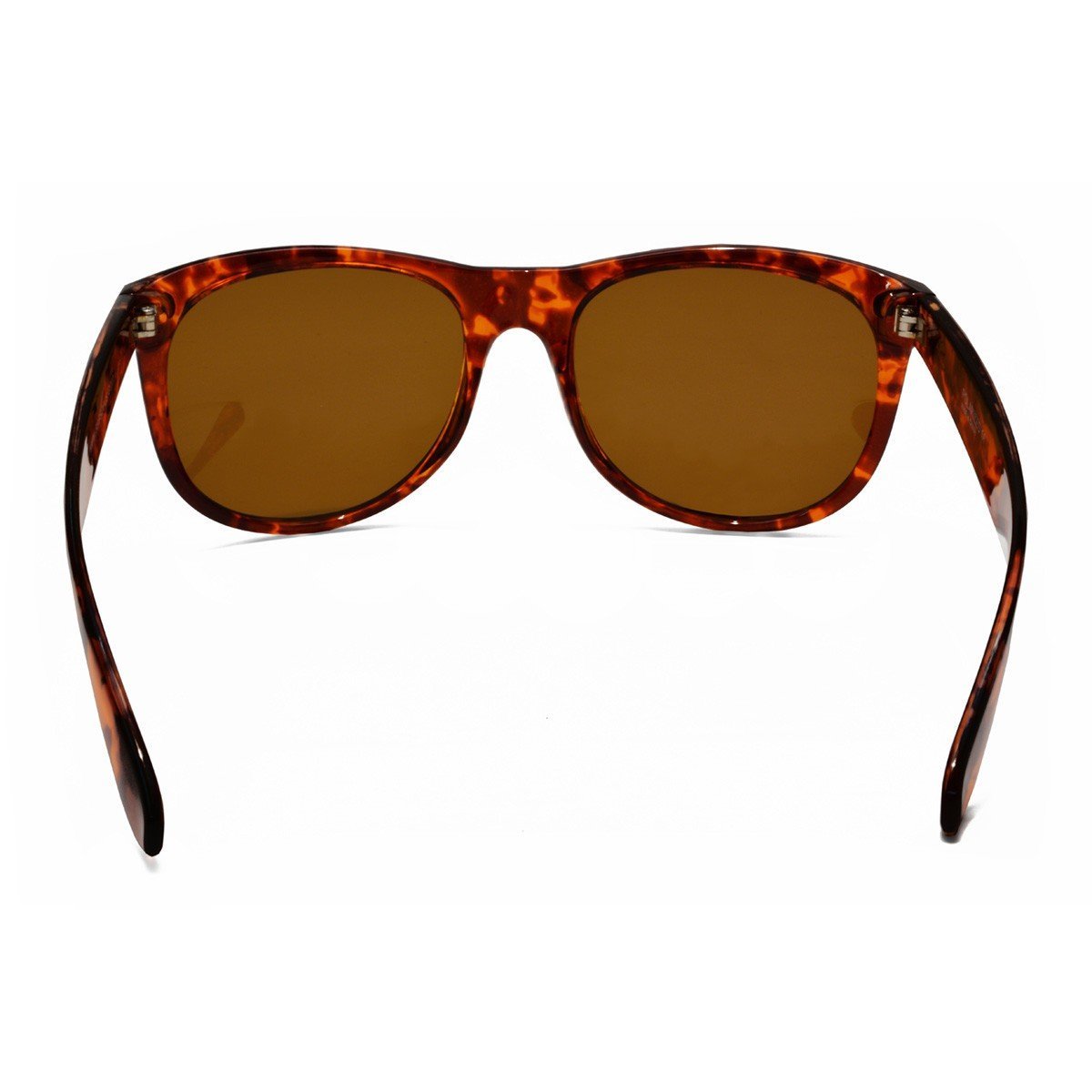 SeaSpecs Cruiser Sunglasses